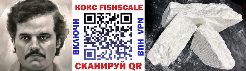 shop телеграм  Дегтярск  Cocaine Fish Scale  дарнет шоп  МЕГА онион 