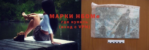 гашик Алексин