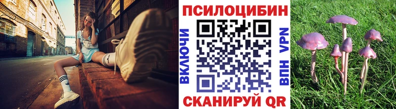 цены наркотик  Дегтярск  Псилоцибиновые грибы Psilocybe 